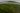 juvenile-salmon-flora-bank-PNW-LNG-Tavish-Campbell.jpg