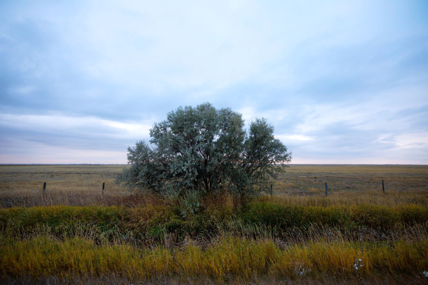 Ron Huvenaar farm
