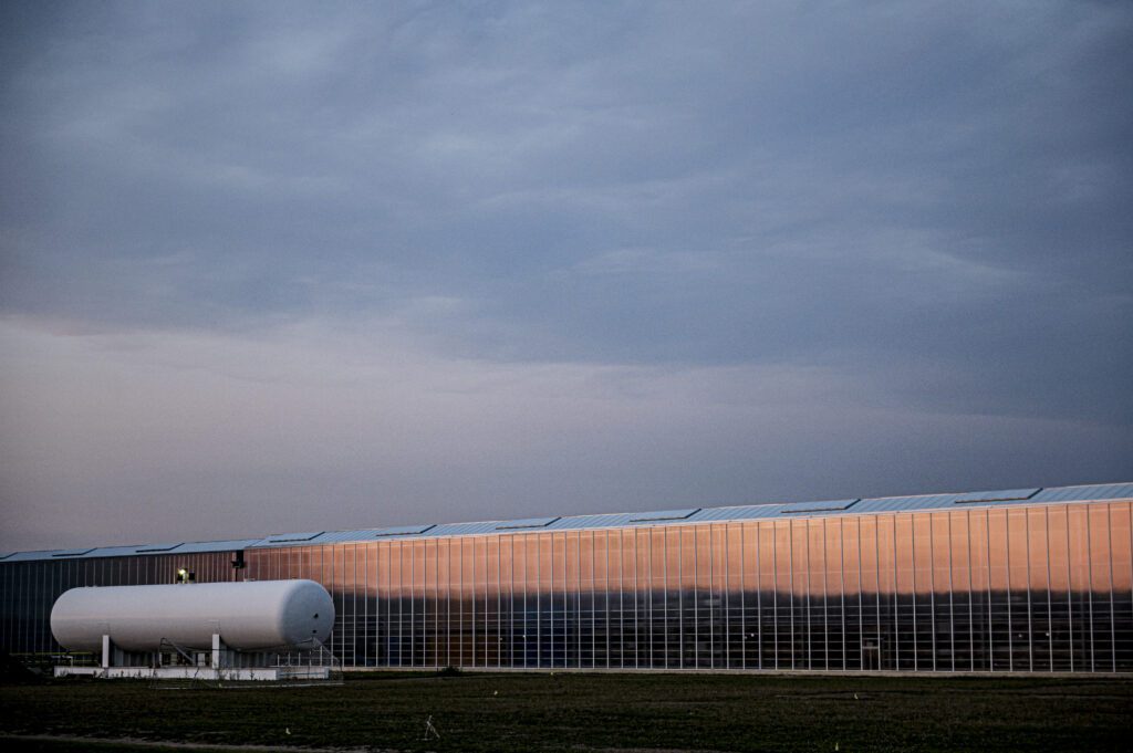 A greenhouse in Leamington, Ont.