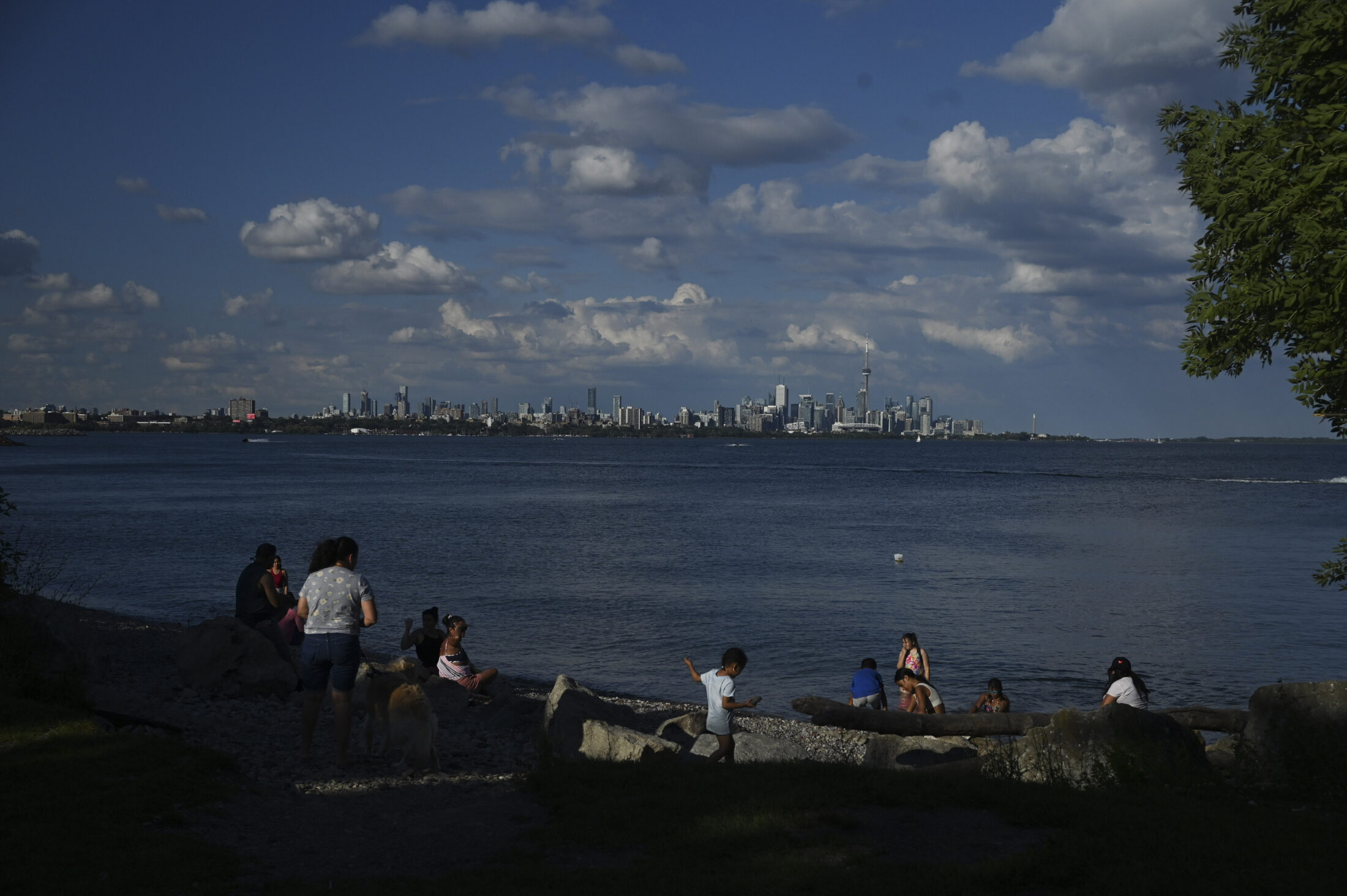 ONT-Toronto-HumberBayPark-shoreline-TheNarwhal-ChrisKatsarovLuna-header