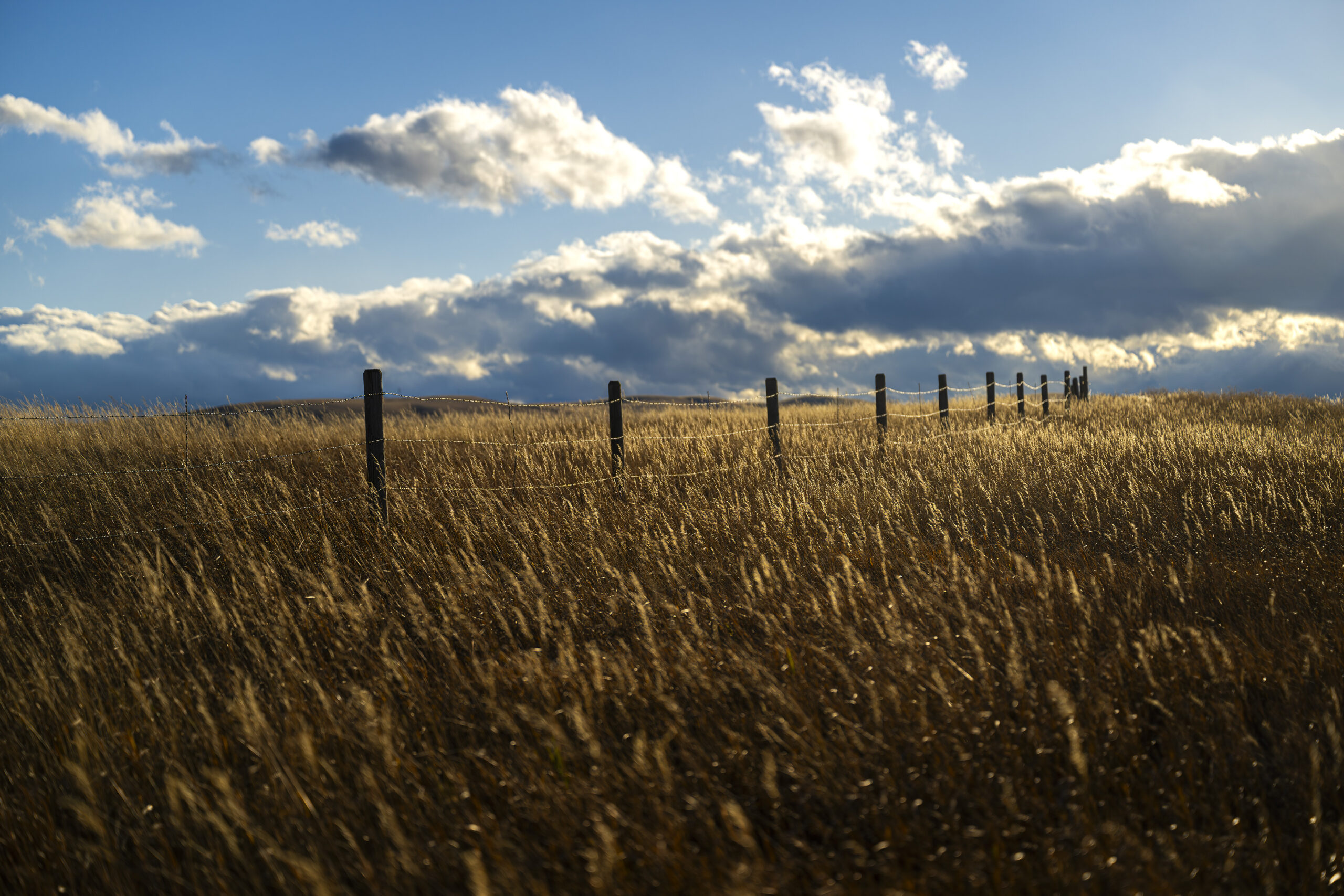 a fence runs through the prairies, with a vibrant sky in the distance
