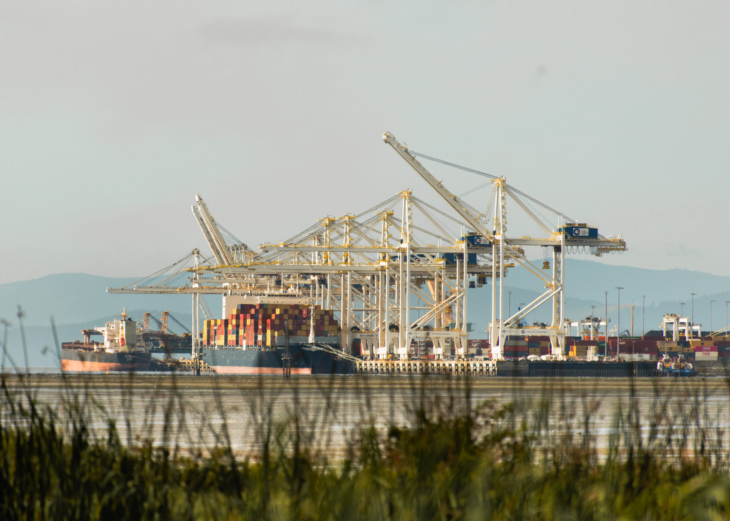 Deltaport in Metro Vancouver, with cranes and containers visible at the port. Mountains are in the background, and grass is blurred in the foreground. The grey-blue water in between is calm. There are concerns about the port's impact on endangered orcas